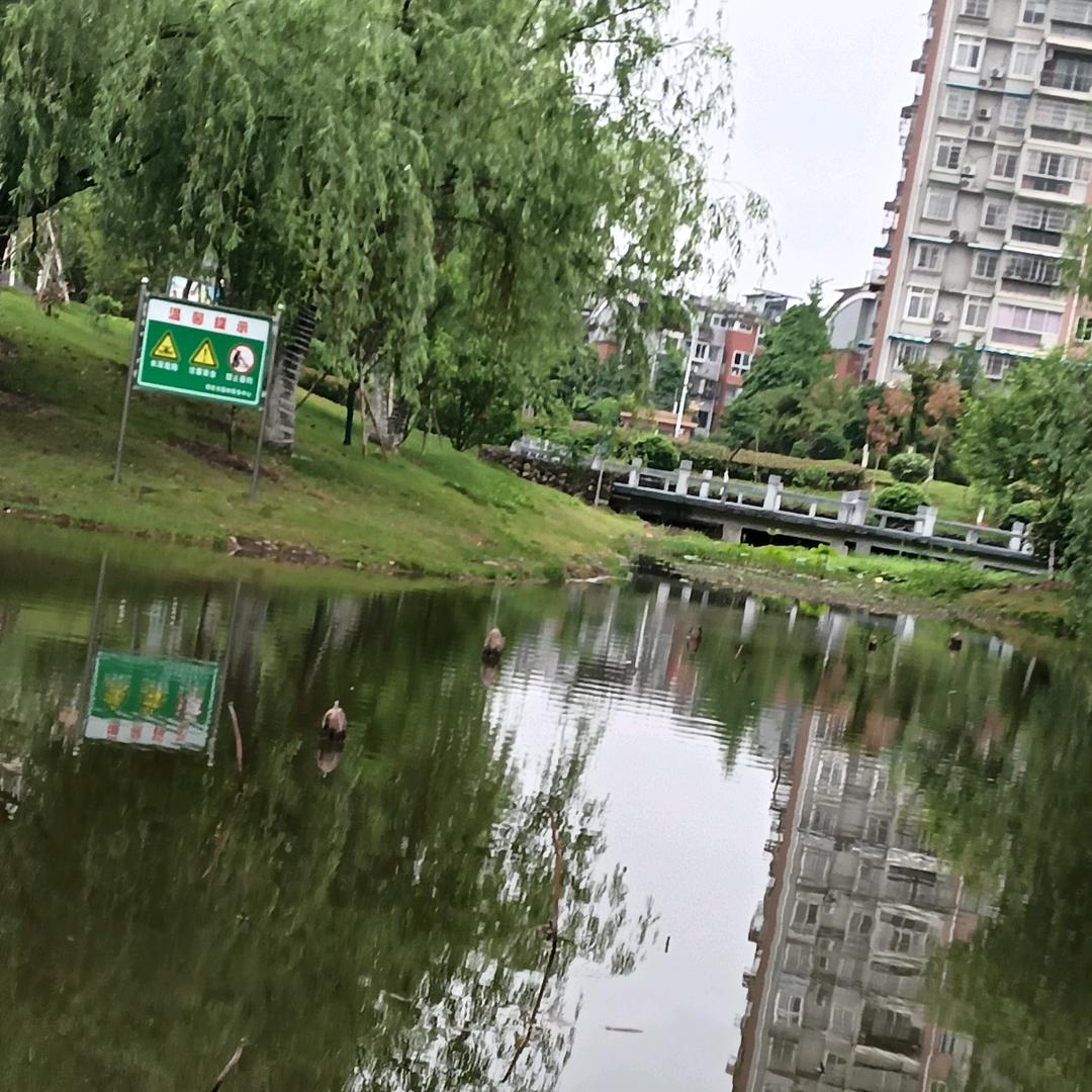 谢光荣
