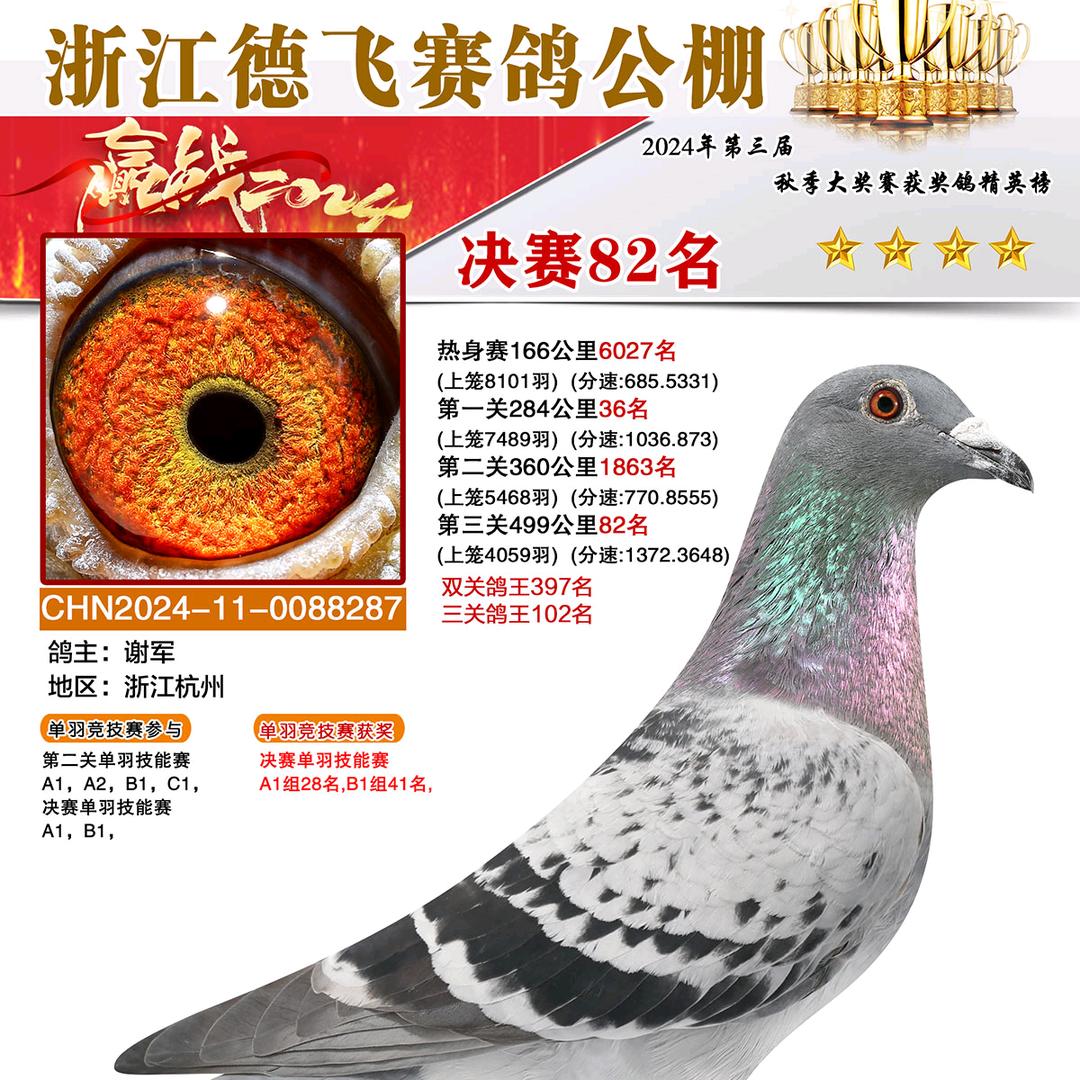 xj军一路向西