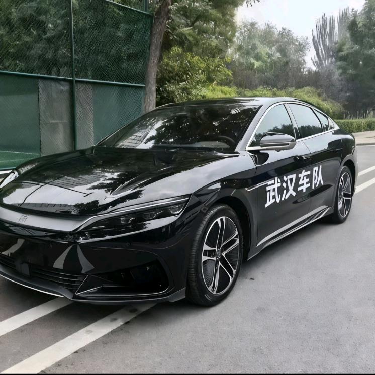 武汉一车队（星徽版）