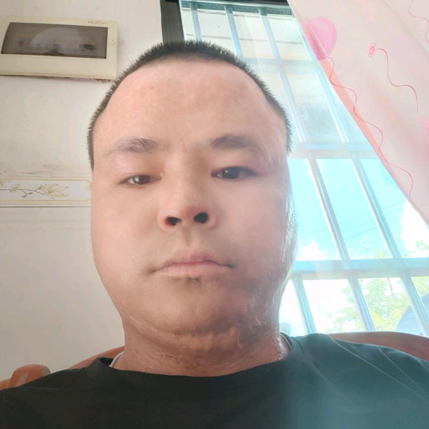 寂寞梧桐锁清秋