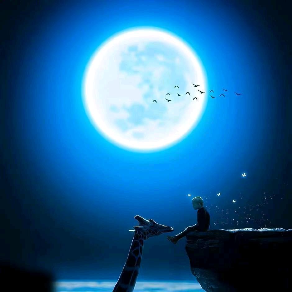 ❁Promise～❁