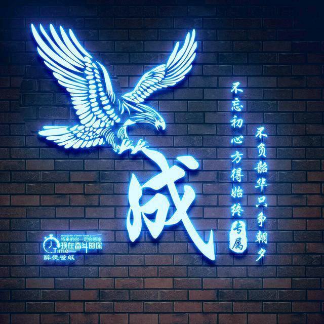 ♛被遗弃的猫♛