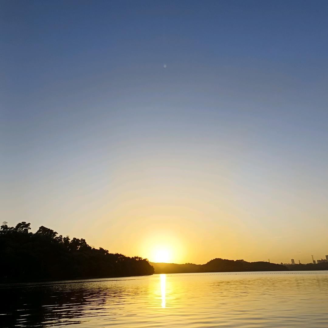 野马