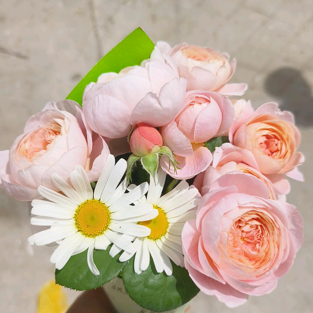 向日葵🌱🌼
