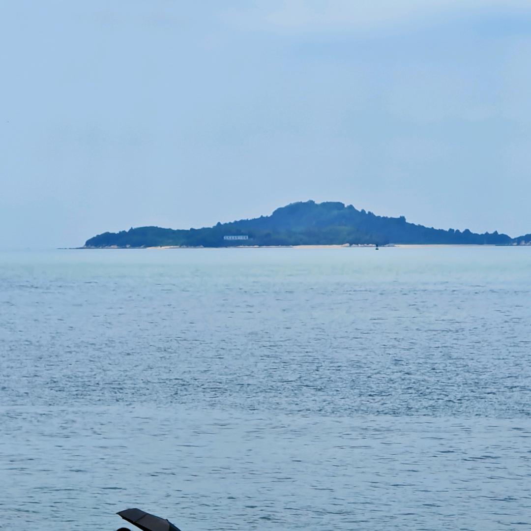 浪浪山的小妖怪