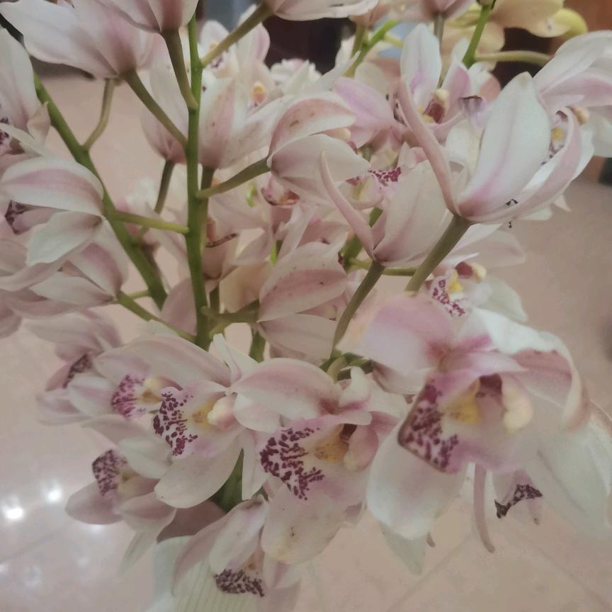 孟婆来碗汤