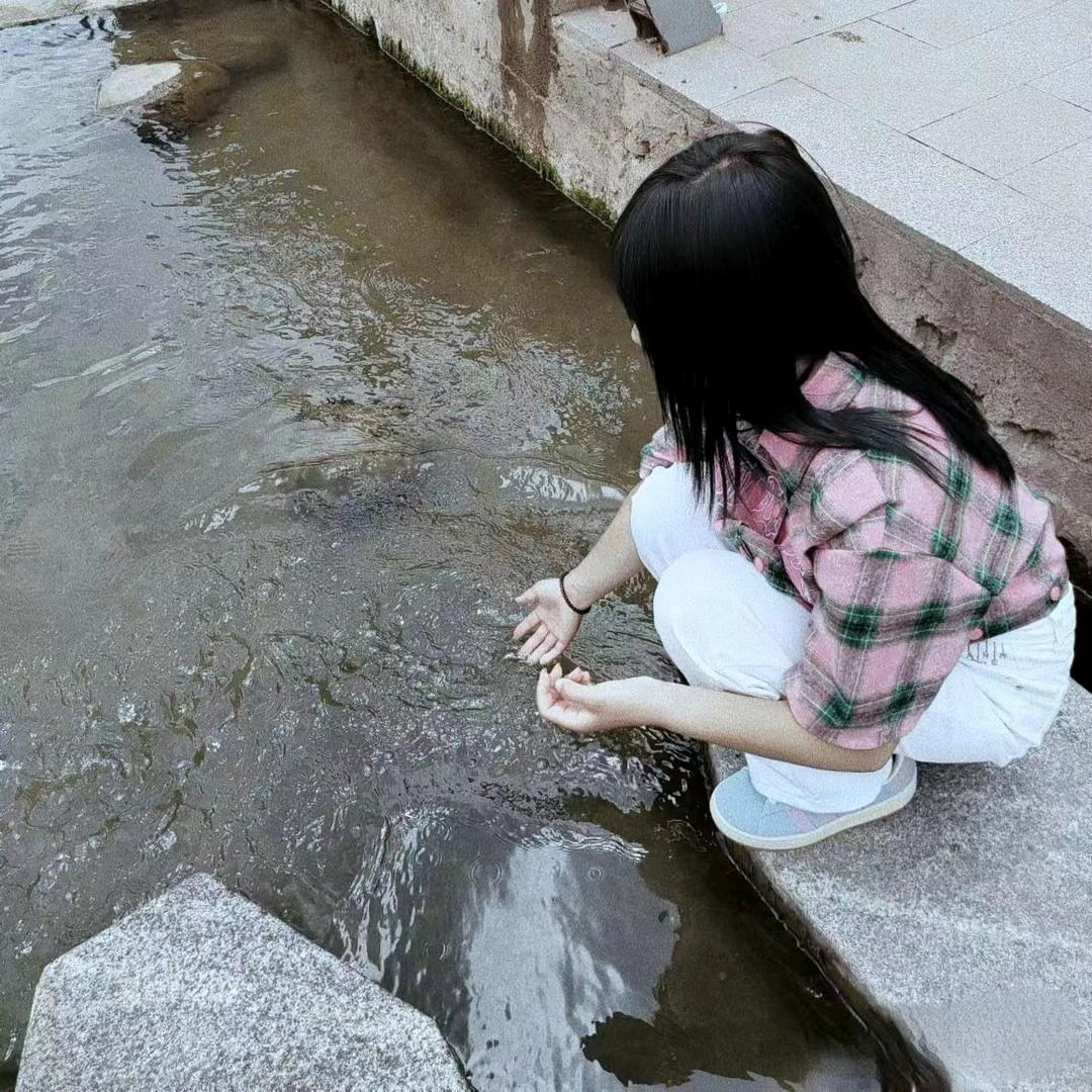 以遗憾烂尾.