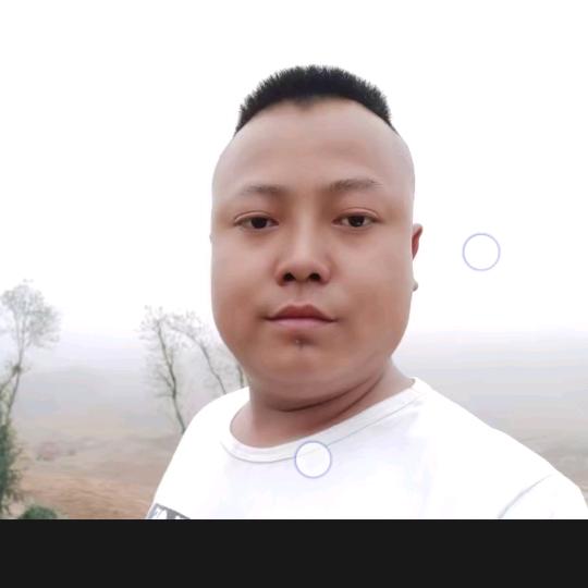 😘云岩区信鸽协会❤️雷🐻