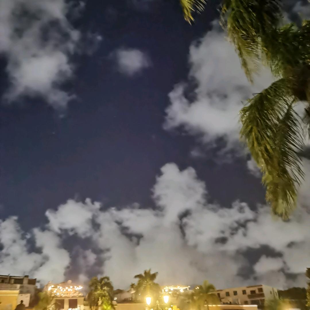 遇🐉见🐉真🐉好