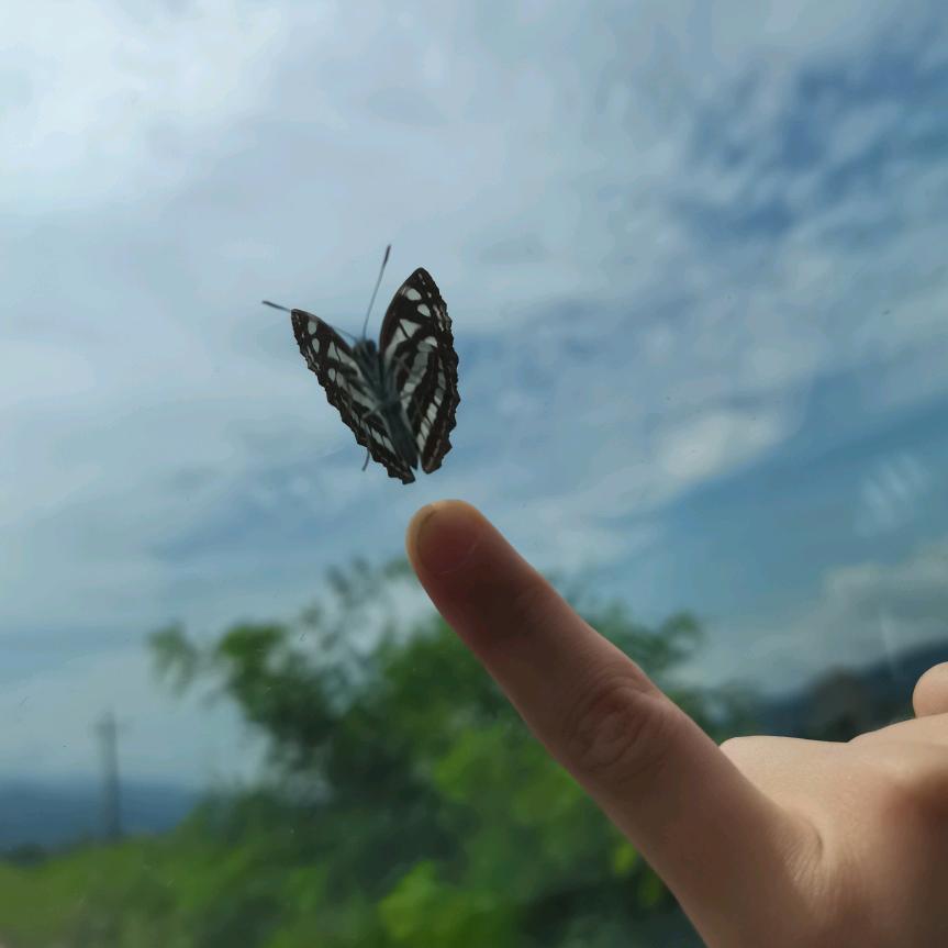 一念三千