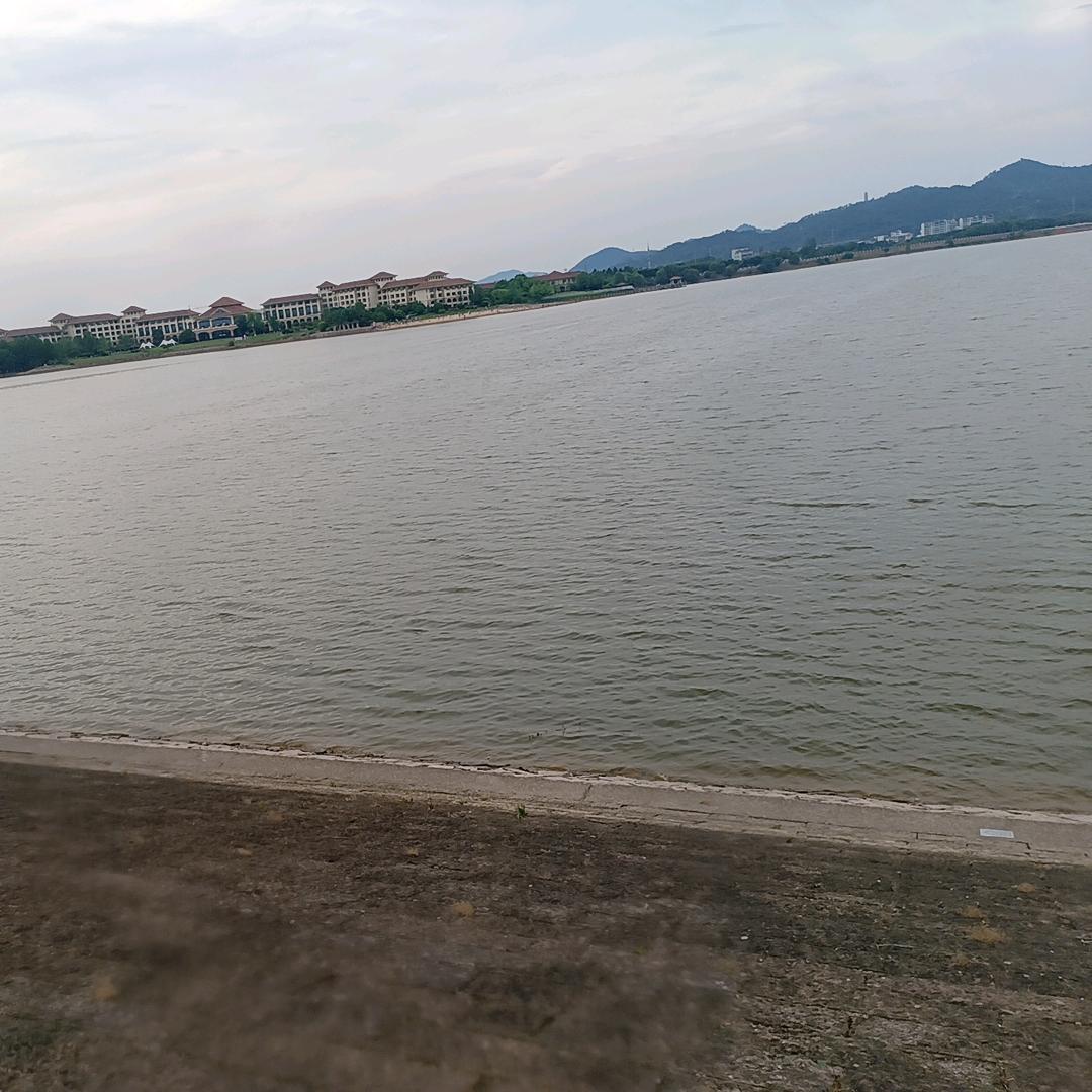 排骨精