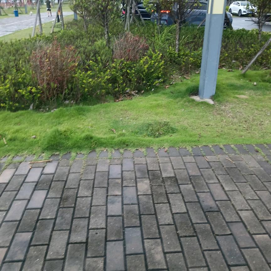 邹