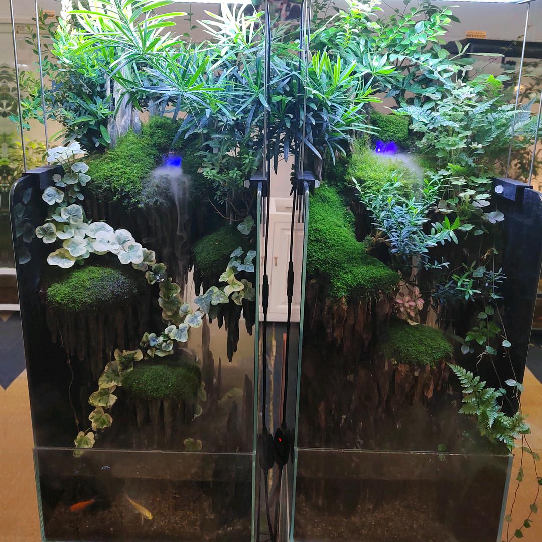 商洛红波互联网汽车服务中心红波互联网汽车服务中心