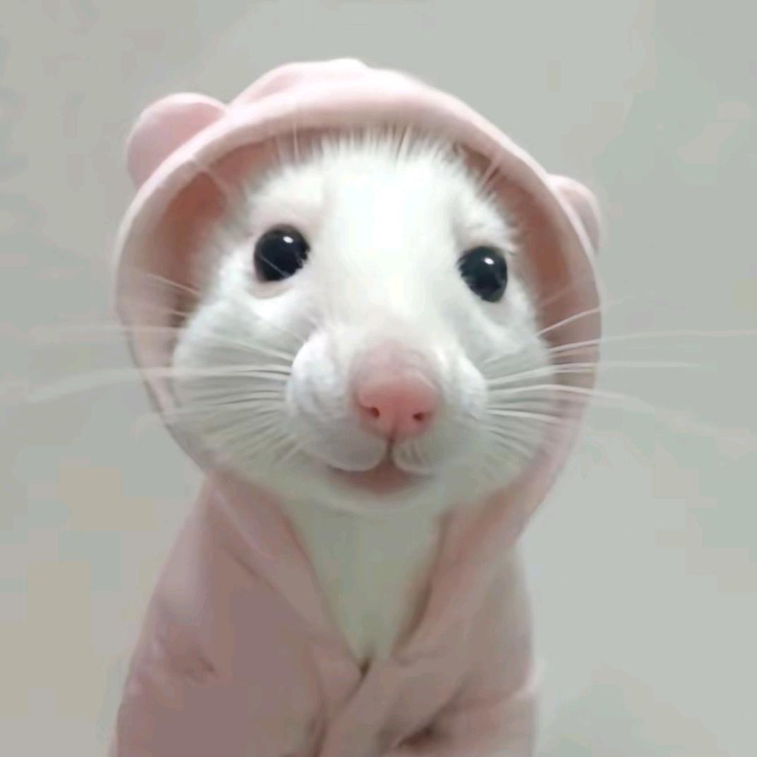 ABU