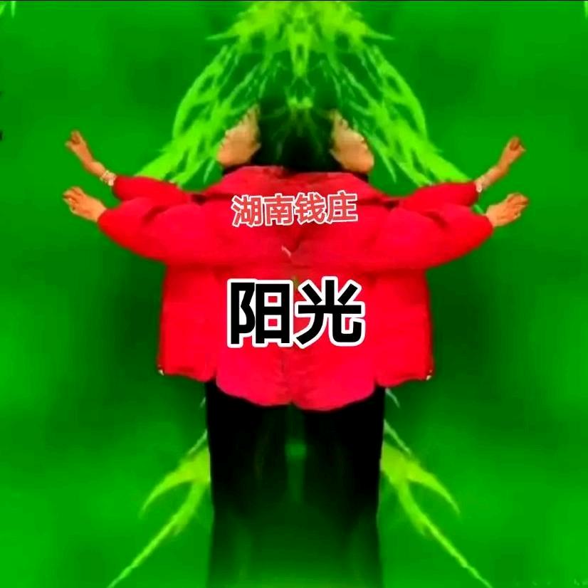 阳光赵