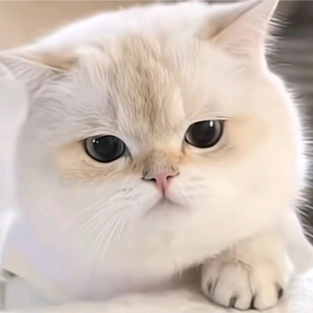 77