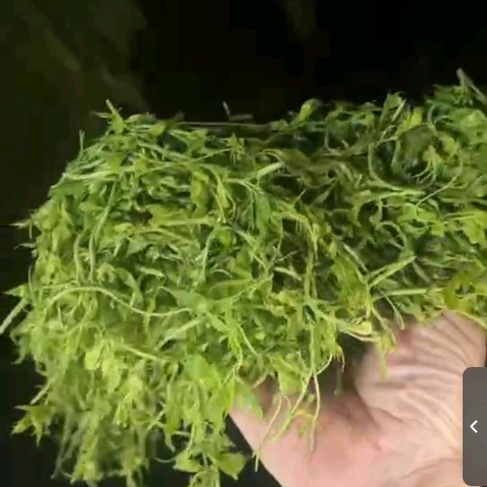 永丰欧公源土特产