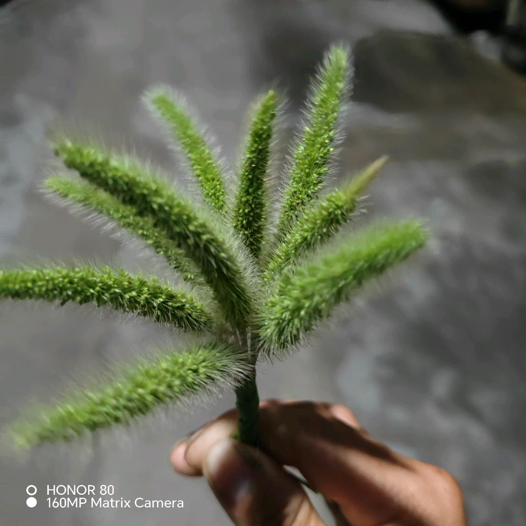 💞ঞᩚ᭄捧在掌心扬你一生ꦿꕥ້໌ᮨ💕