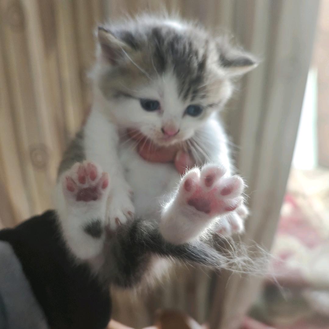 小胡老师一切都好