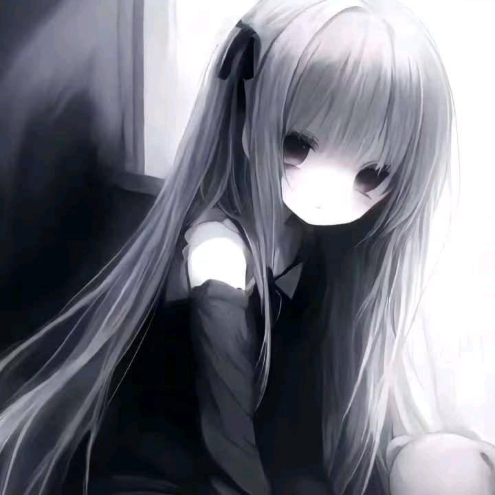 呼噜小欣💤