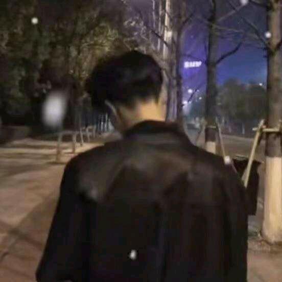 北边开不出玫瑰花