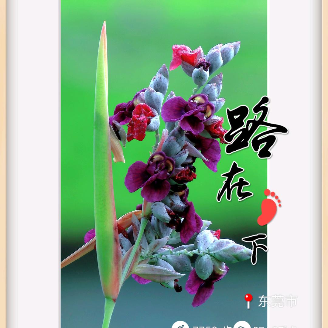 青山