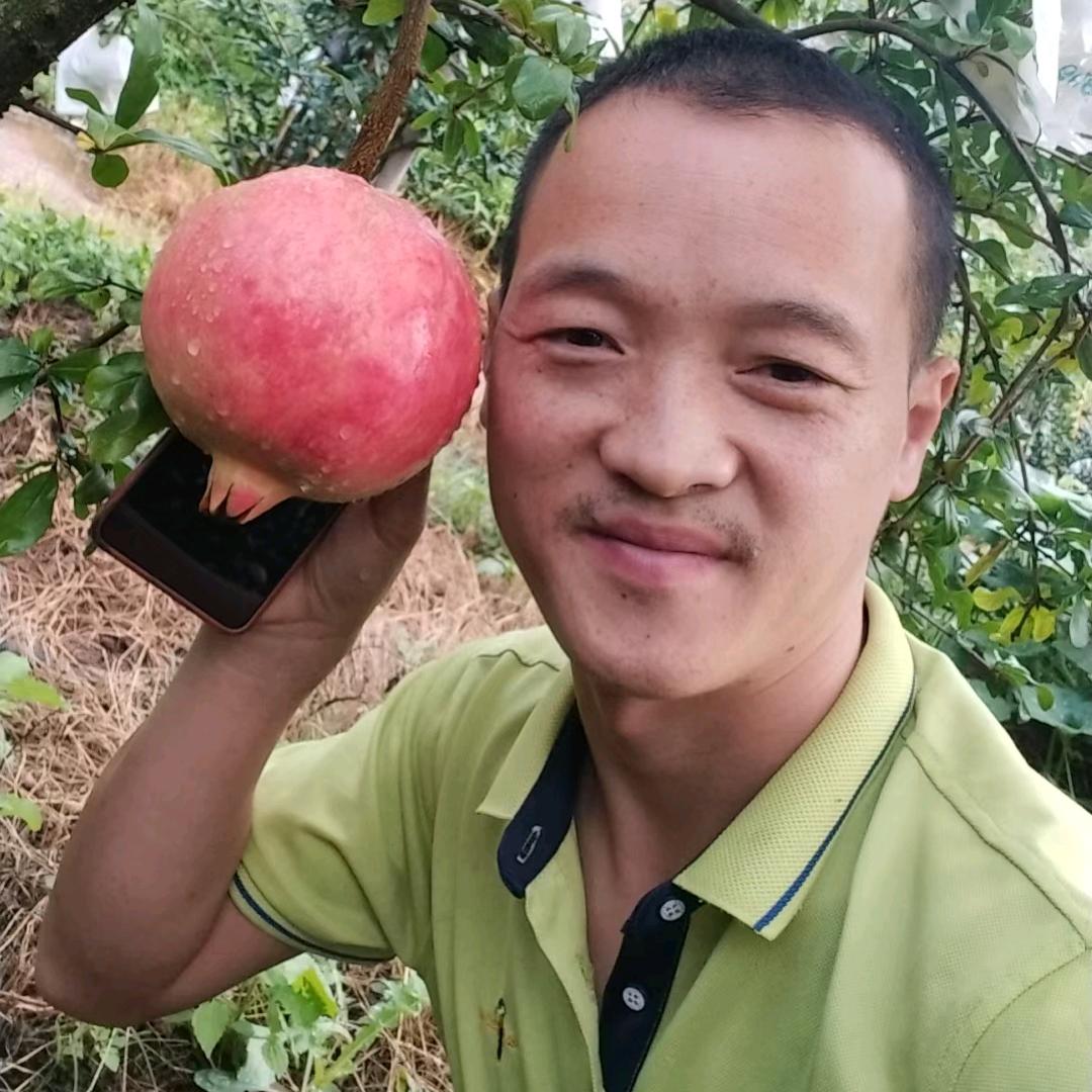 蒙阳雨润黄俊凯专业代购代销各种水果