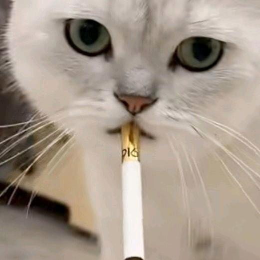 小得罗晚上睡不着