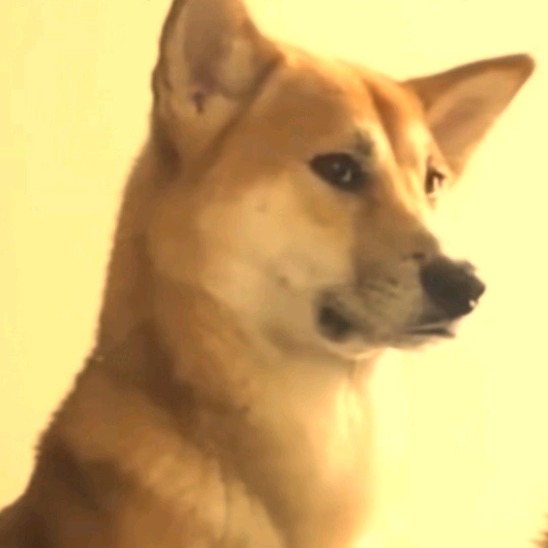 0v0
