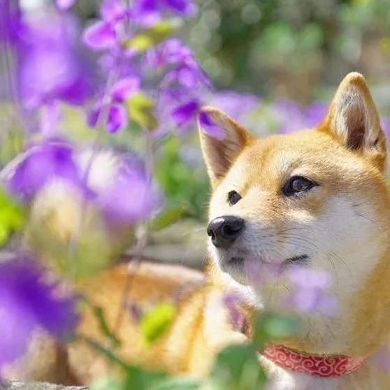 .渡.