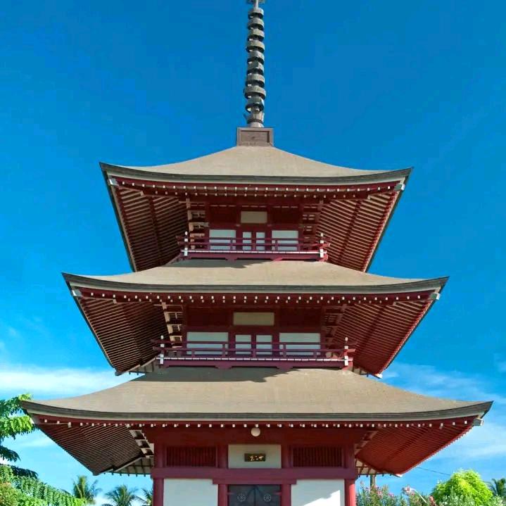 努力奋斗🍱