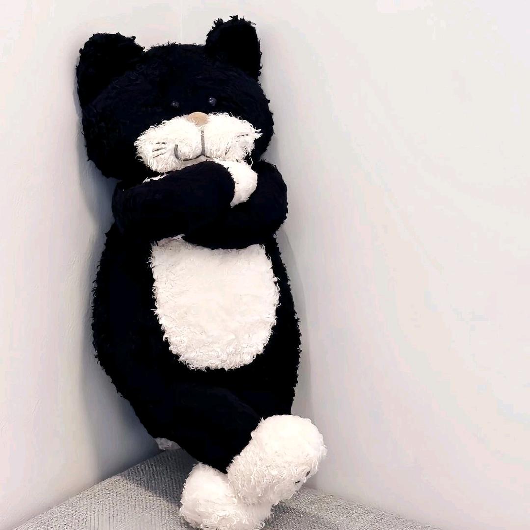冰晨