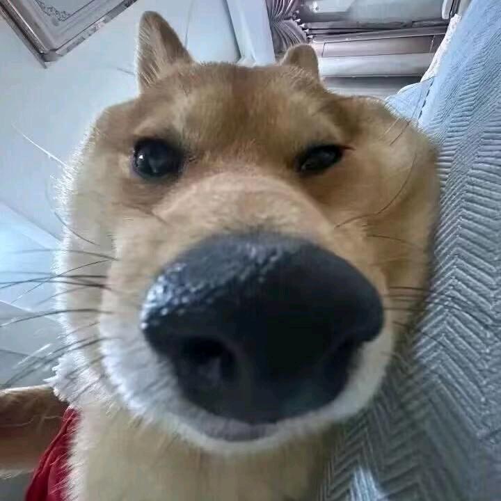 月下
