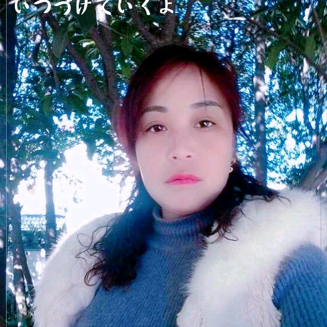 何二姐4