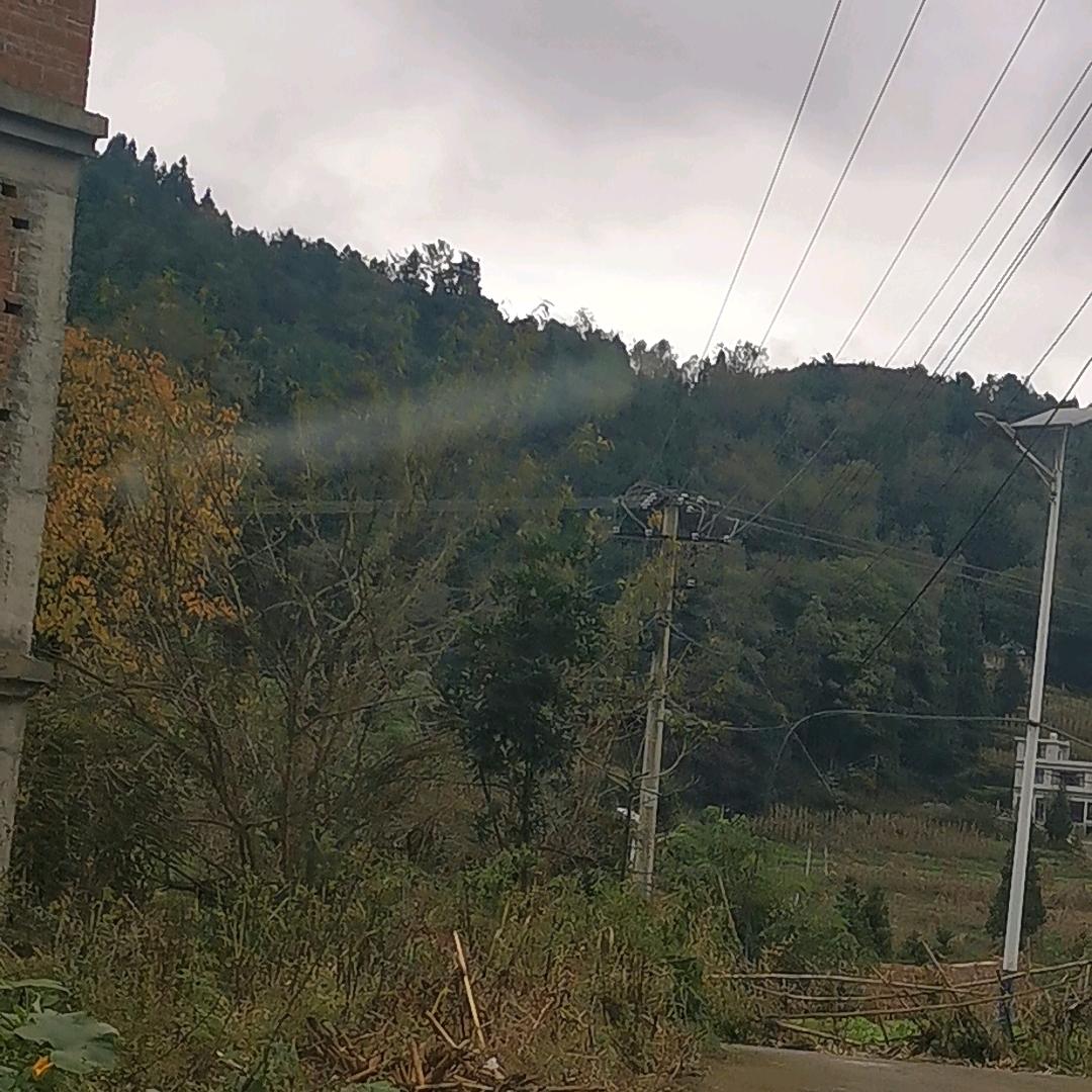 农村人的真实生活