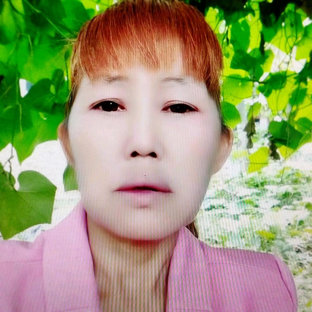 云燕