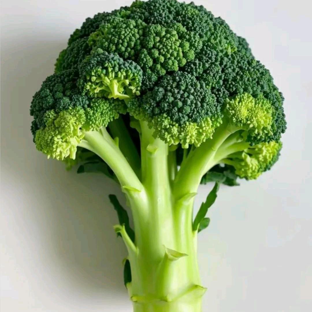 小冯邹雅