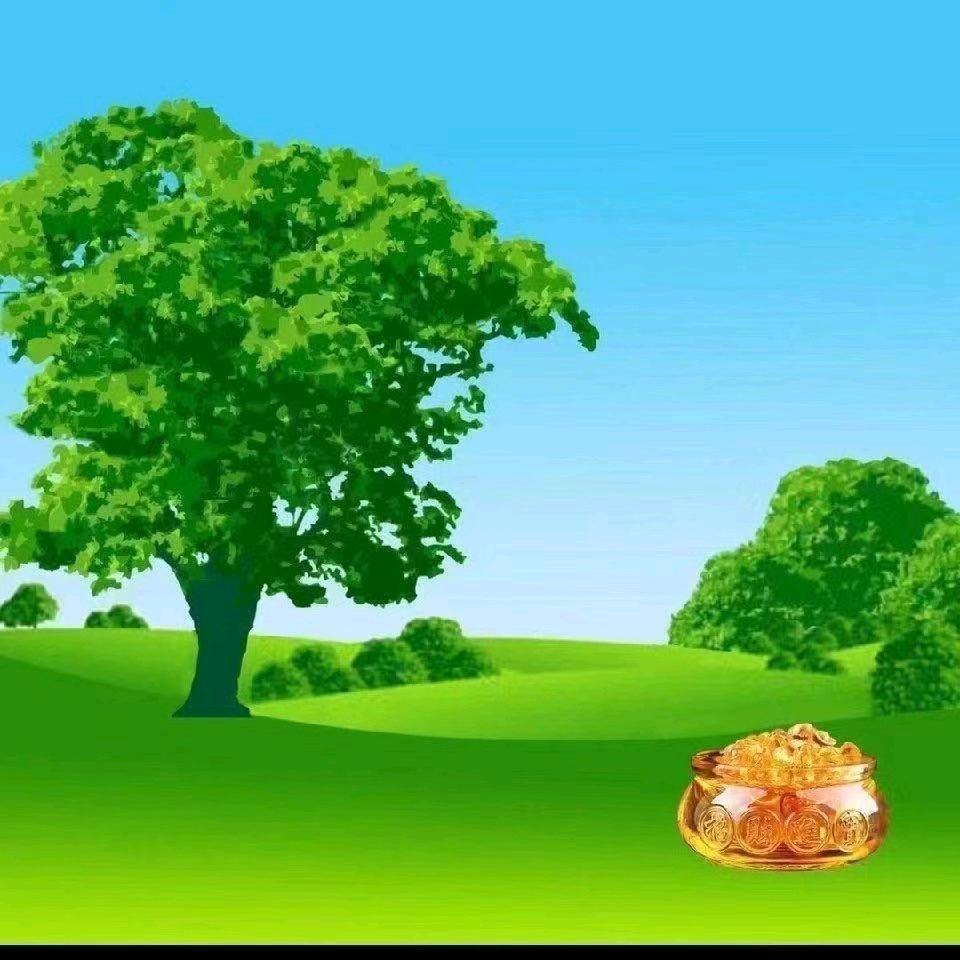卤菜姐