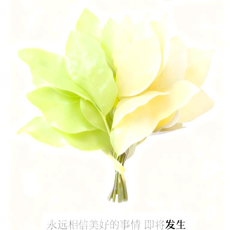 小水滴💧