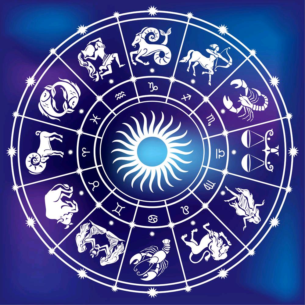 飞文星座