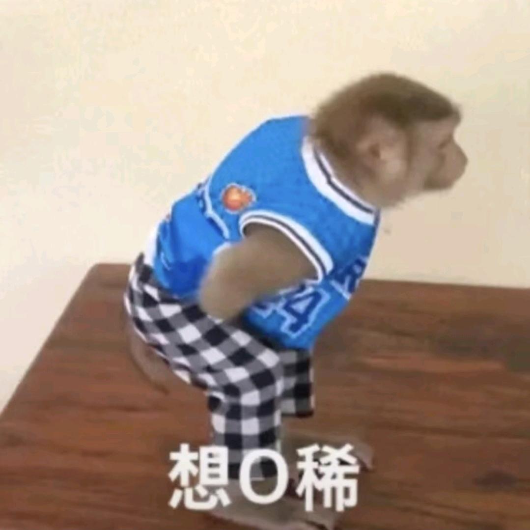 霖崽小章鱼