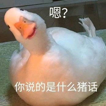 卡卡diy饰品