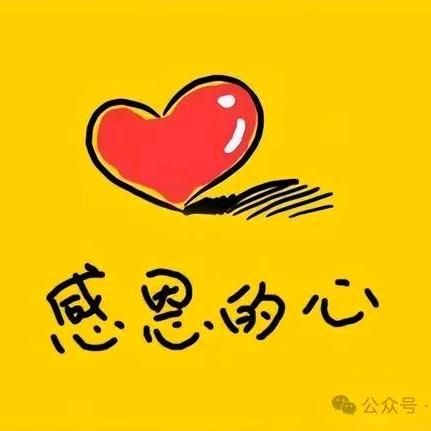 大海中的船🚢