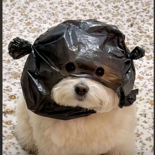 我不是爱豆