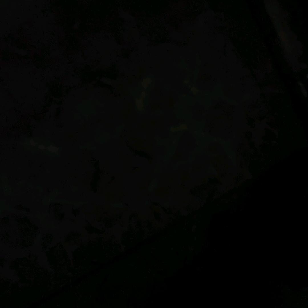 两袖清风 毫无正气