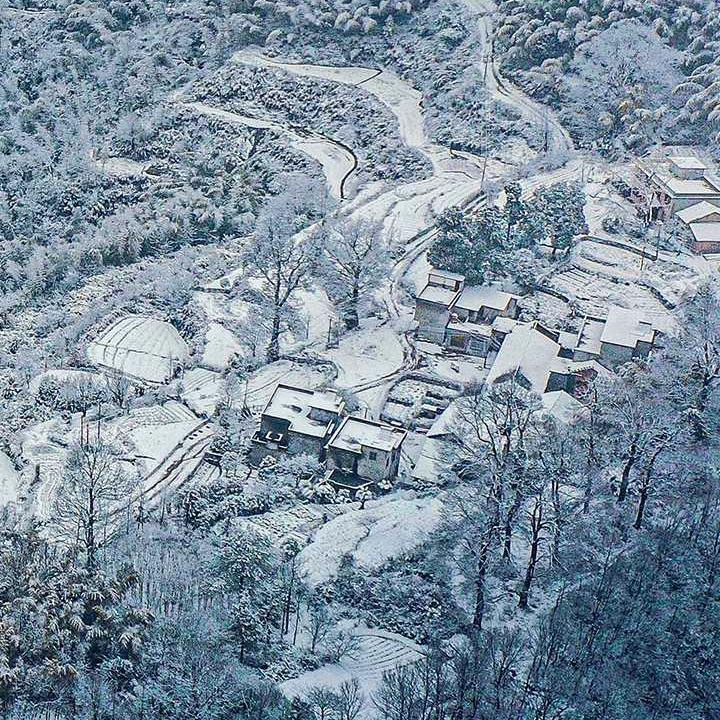 小意大哥