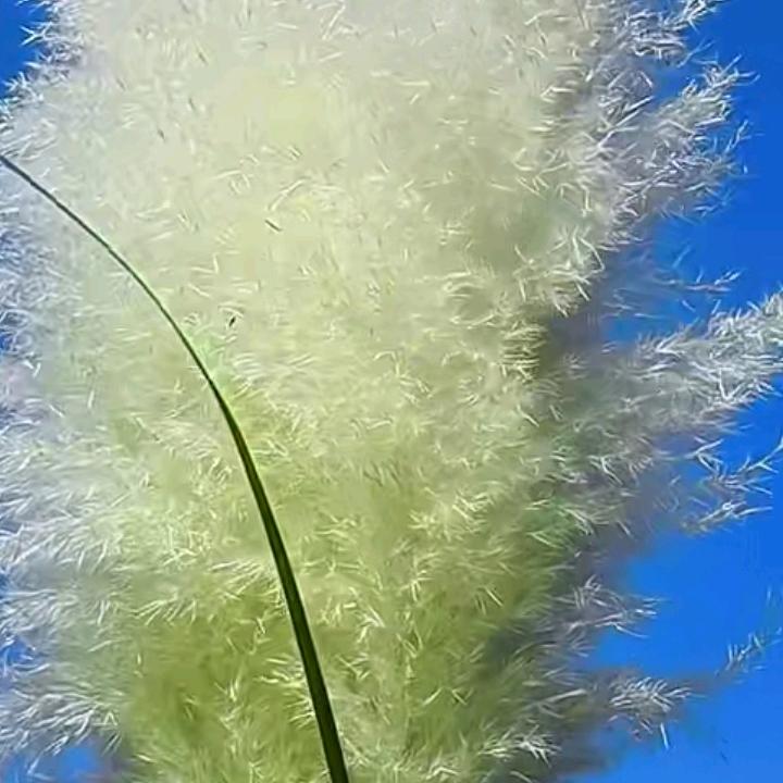 善良不代表我就懦弱
