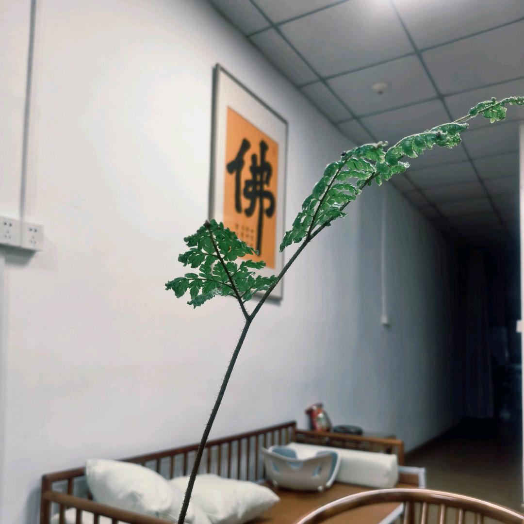 闽南伟仔