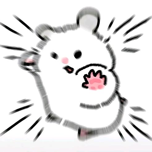山山营冠网络科技