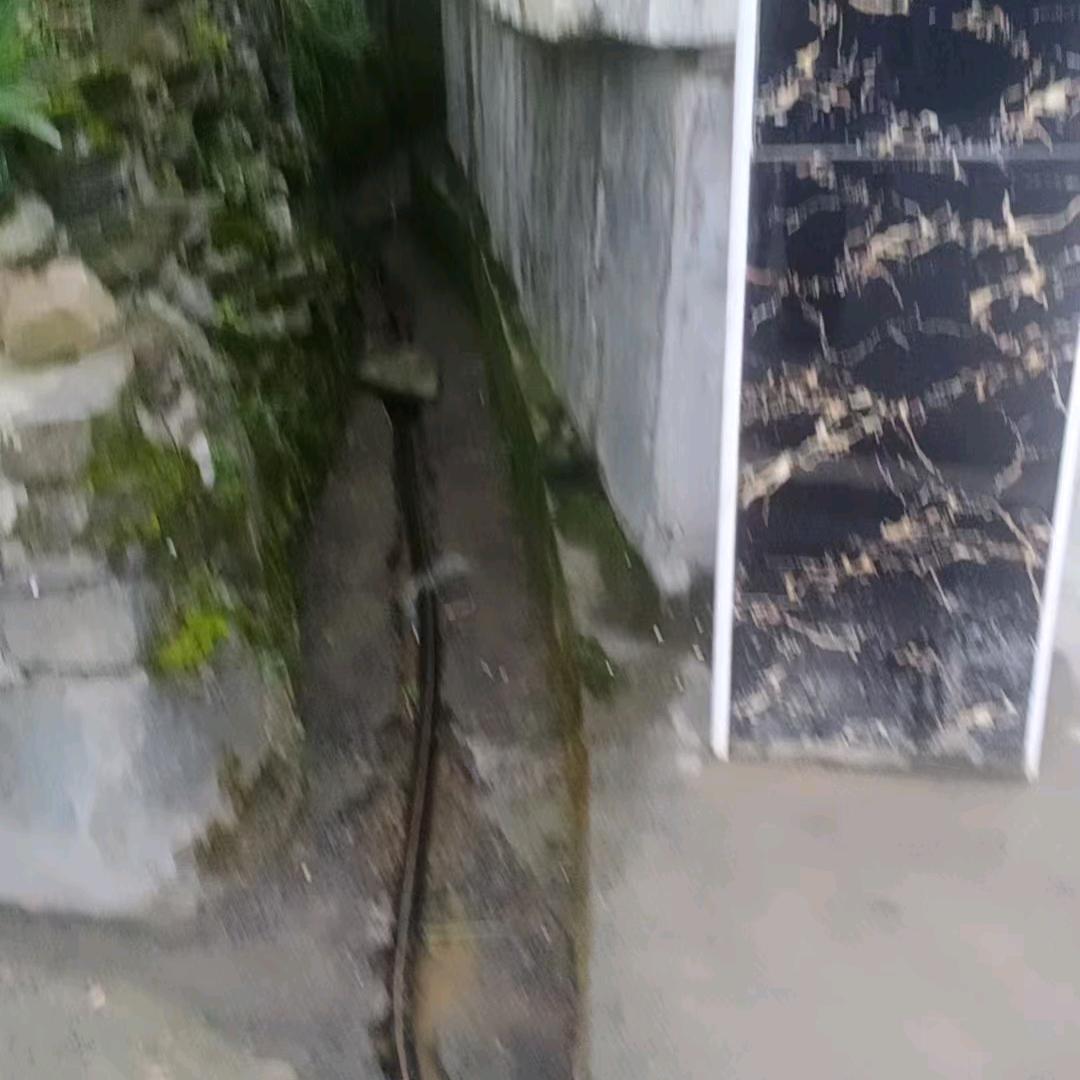 永远不老